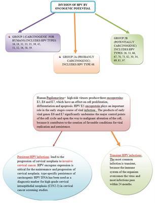 Testén sok papilloma miért