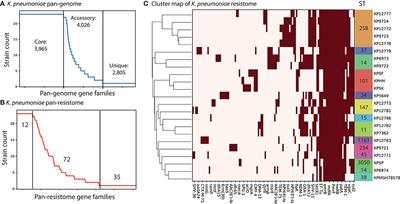 Frontiers Comparative Genome Scale Metabolic Modeling Of Metallo Beta Lactamase Producing Multidrug Resistant Klebsiella Pneumoniae Clinical Isolates Cellular And Infection Microbiology