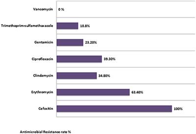 Frontiers Molecular Characterization Of Methicillin Resistant