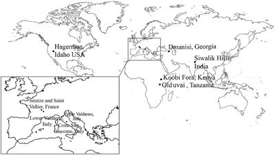 Frontiers Evolution Of Early Equus In Italy Georgia The Indian Subcontinent East Africa And The Origins Of African Zebras Ecology And Evolution