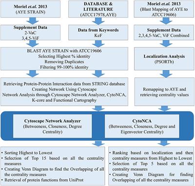 Frontiers Delineating The Plausible Molecular Vaccine Candidates