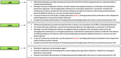 Frontiers Treatment Of Infections Due To Mdr Gram Negative Bacteria Medicine Frontiers Treatment Of Infections Due To Mdr Gram Negative Bacteria Medicine