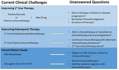 Frontiers A Changing Of The Guard Immune Checkpoint Inhibitors