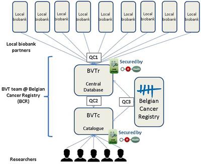 Frontiers The Belgian Virtual Tumorbank A Tool For