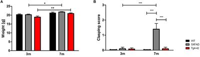 Search strategy analysis of Tg4-42 Alzheimer Mice in the Morris