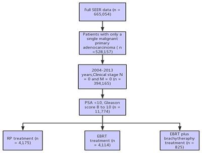 prostate cancer gleason score 9 treatment)