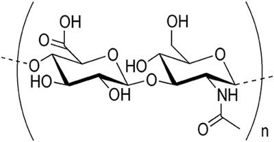 Hyaluronic Acid: Molecular Mechanisms and Therapeutic ... - Frontiers