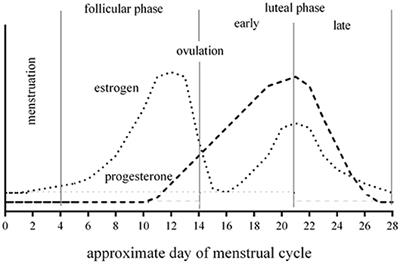 Frontiers Preliminary Evidence For A Window Of Increased Vulnerability To Sustain A Concussion In Females A Brief Report Neurology