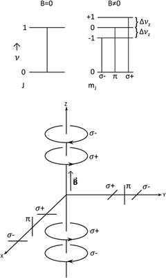 Frontiers Review Of Zeeman Effect Observations Of Regions Of Star Formation Astronomy And Space Sciences
