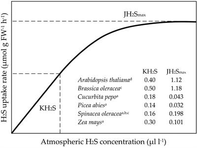 brassière après opération