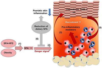 psoriasis protein intake)