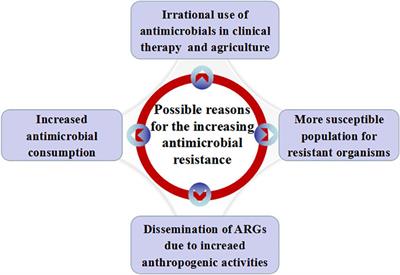 Frontiers Crisis Of Antimicrobial Resistance In China Now - 