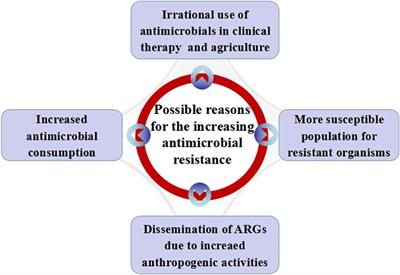 Реферат: Bacterial Resistance Essay Research Paper Bacterial resistance