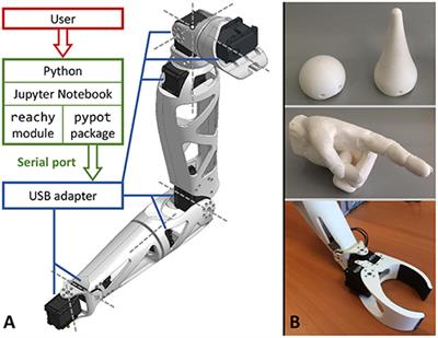 Reachy, a 3D-Printed Human-Like Robotic Arm as a Testbed for Human-Robot Control Strategies