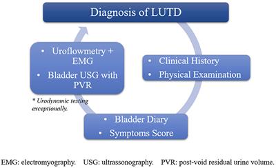 Frontiers  Diagnosis and Management of Bladder Dysfunction in  Neurologically Normal Children