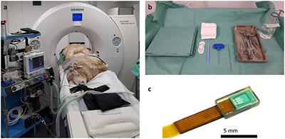 Frontiers A Novel Translational Ovine Pulmonary Adenocarcinoma