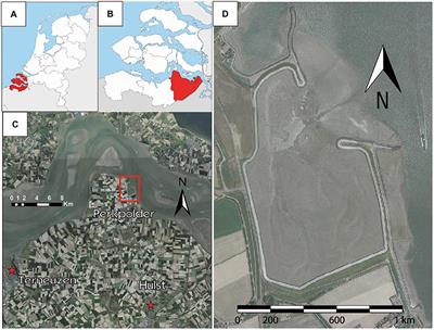 Saltmarshes Conservation and Engineering Significance Morphodynamics