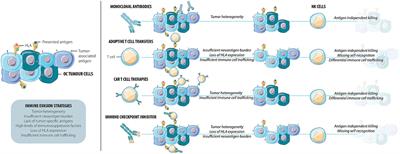 Cancers Free Full Text Mechanisms Of Resistance To Nk Cell Immunotherapy Html