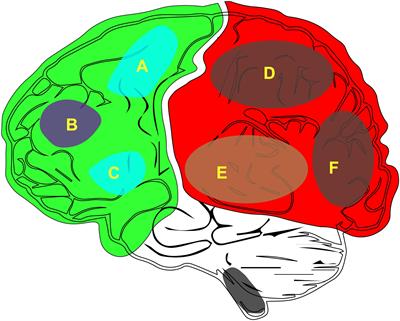 Consciousness: New Concepts and Neural Networks