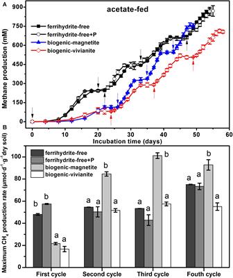 Frontiers Methanogenic Activity And Microbial Community Structure In Response To Different Mineralization Pathways Of Ferrihydrite In Paddy Soil Earth Science