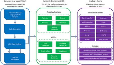 Frontiers | A Whole-Body Mathematical Model of Sepsis Progression and ...
