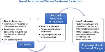 Self Scoring Autism Screen Overlooks >> Frontiers Novel Personalized Dietary Treatment For Autism Based On Self Scoring Autism Screen Overlooks >> Frontiers Novel Personalized Dietary Treatment For Autism Based On