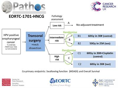 hpv positive oropharyngeal cancer treatment