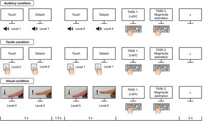 Frontiers | Surface Stickiness Perception by Auditory, Tactile, and ...