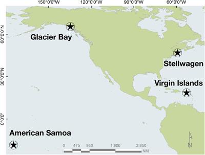 samoa geel