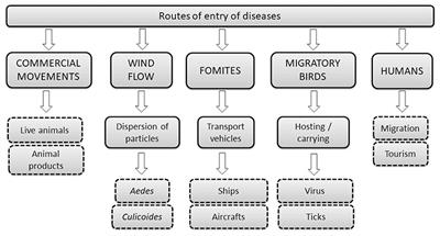 Frontiers | Risk of Introduction of Infectious Animal Diseases for Europe Based on the Health Situation of North Africa and the Arabian Peninsula Frontiers | Risk of Introduction of Infectious Animal Diseases for Europe Based on the Health Situation of North Africa and the Arabian Peninsula