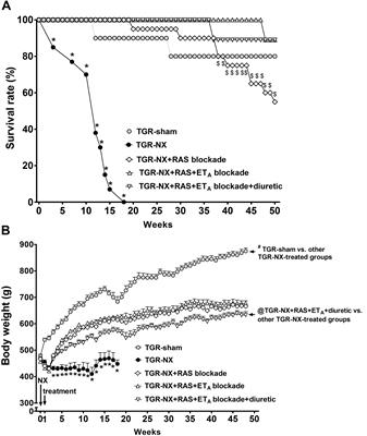 Frontiers Renoprotection Provided By Additional Diuretic