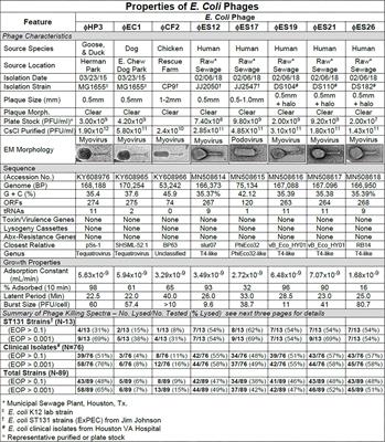 Frontiers | Constructing and Characterizing Bacteriophage Libraries for ...