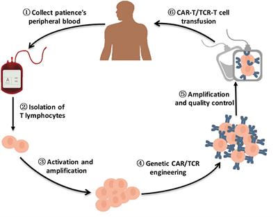 can small cell lung cancer spread to the brain