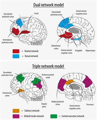 Brain aging in major depressive disorder: results from the ENIGMA