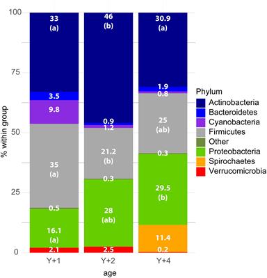 Photosynthesis Plus Feed Chart