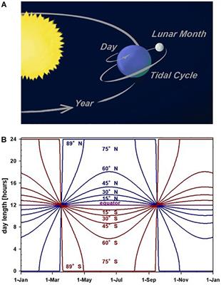 Frontiers Endogenous Programs And Flexibility In Bird Migration Ecology And Evolution bird migration
