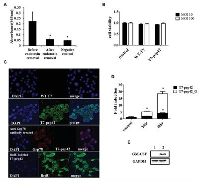 Frontiers Engineered Bacteriophage T7 As A Potent Anticancer Agent In Vivo Microbiology