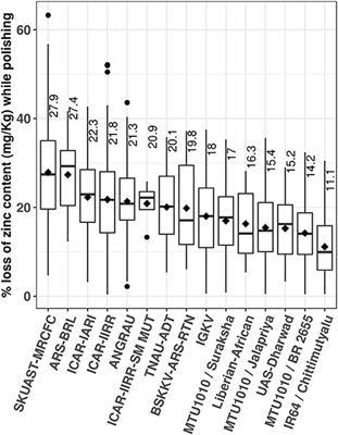 311px x 400px - Frontiers | Zinc Biofortified Rice Varieties: Challenges, Possibilities,  and Progress in India