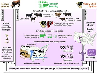 Frontiers Beef Production In The Southwestern United States Strategies Toward Sustainability Sustainable Food Systems