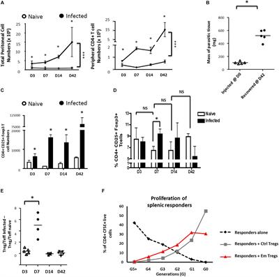 Frontiers Expansion Of Host Regulatory T Cells By Secreted Products Of The Tapeworm Echinococcus Multilocularis Immunology