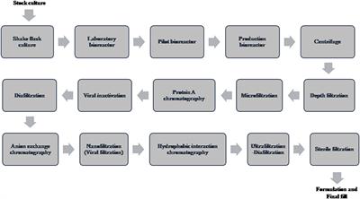 Frontiers Recent Developments In Bioprocessing Of Recombinant Proteins Expression Hosts And Process Development Bioengineering And Biotechnology