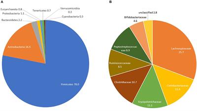Szerotonin dysbiosis