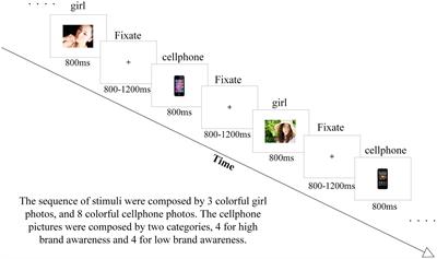 Frontiers The Influences Of Brand Awareness On Consumers Cognitive Process An Event Related Potentials Study Neuroscience