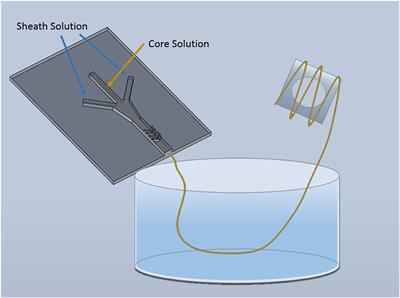 Frontiers Enhancing The Conductivity Of Cell Laden Alginate