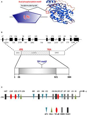 How To Open Xml File In Terminal - hereofiles