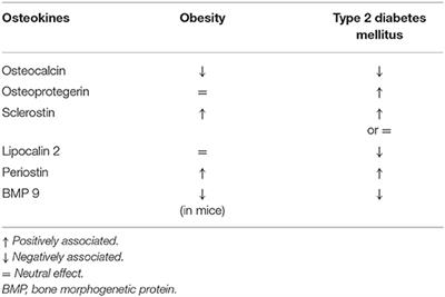 Frontiers The Interplay Between Bone And Glucose Metabolism Endocrinology