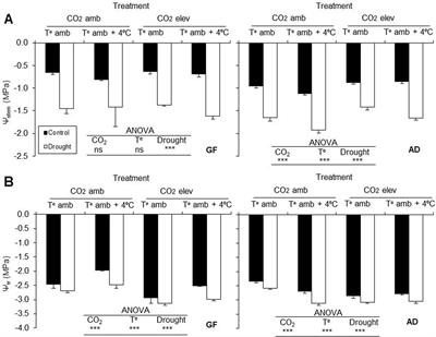 Frontiers Interactional Effects Of Climate Change Factors On The Water Status Photosynthetic Rate And Metabolic Regulation In Peach