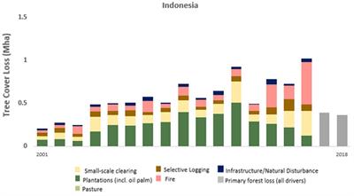 Trase Insights - Indonesia makes progress towards zero palm oil