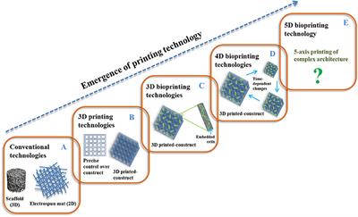 PDF) Development of hydroxiapatite porous bioceramics for use as