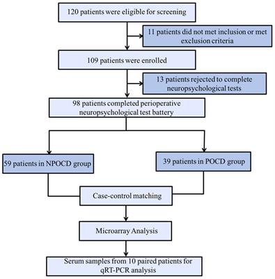 Frontiers | Identification of the Potential Key Circular RNAs in ...
